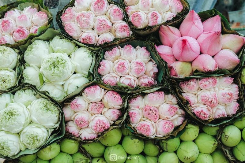 Hồ sơ đăng ký logo thương hiệu độc quyền