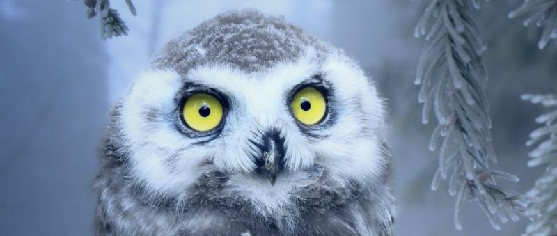 Quy Trình Đăng Ký Nhãn Hiệu 2025: Hướng Dẫn Chi Tiết Từ A-Z