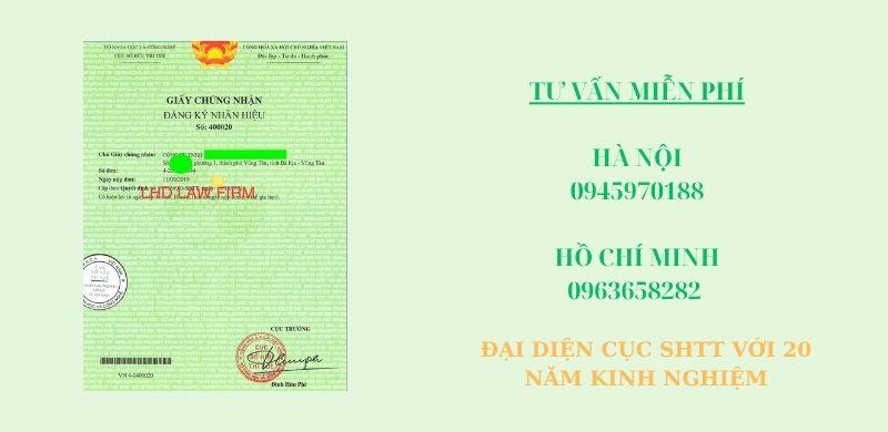 Cẩm Nang Toàn Diện về Đăng Ký Nhãn Hiệu và Logo tại Việt Nam: Chiến Lược, Thủ Tục và Thực Thi
